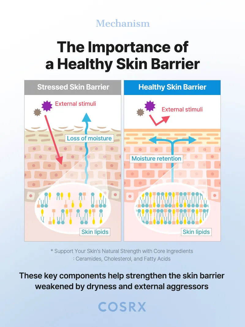 The Ceramide Skin Barrier Moisturizing Mist